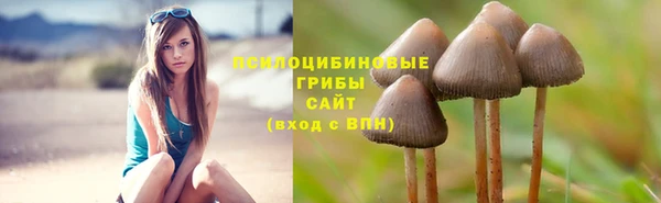 ECSTASY Баксан