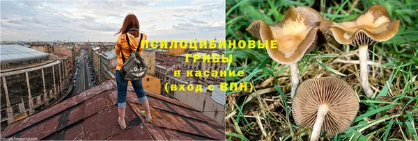 apvp Балабаново