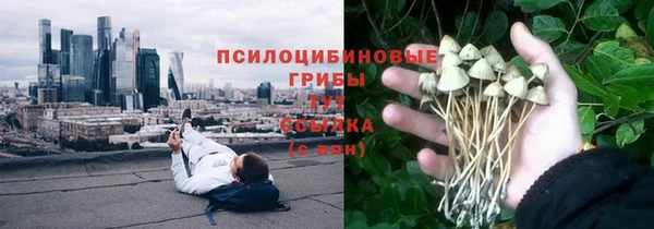 apvp Балабаново