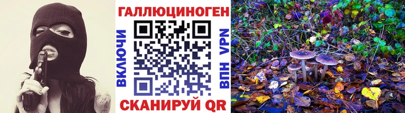 Галлюциногенные грибы мухоморы  хочу наркоту  MEGA вход  Калининец 